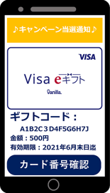 visa-e-flow01